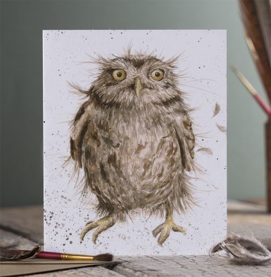 Carte de souhait Hiboux