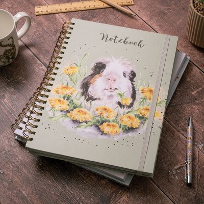 A4 guinea pig notebook dandy day