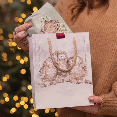 Medium christmas gift bag three wise men