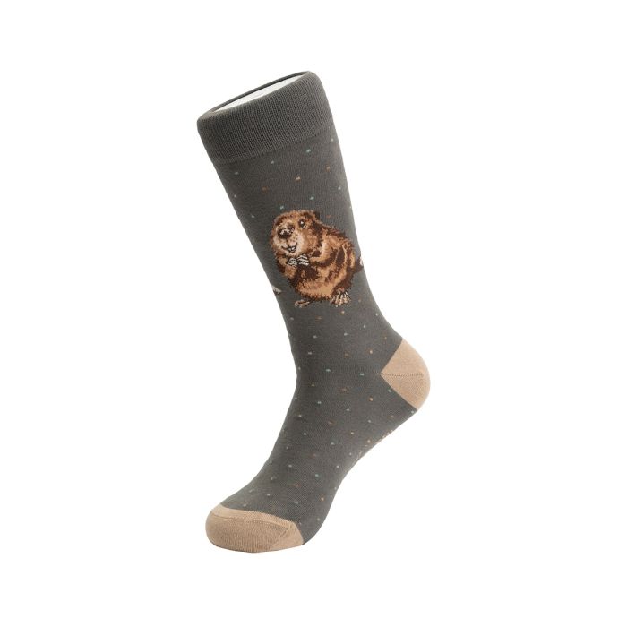 SOCKM014