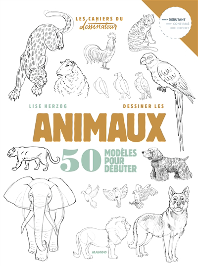 9782317023231