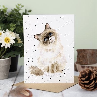 Carte de souhait chat