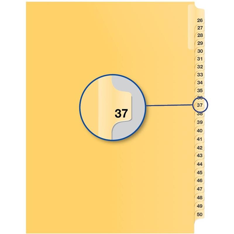 Image Individual Numerical Litigation Index Dividers