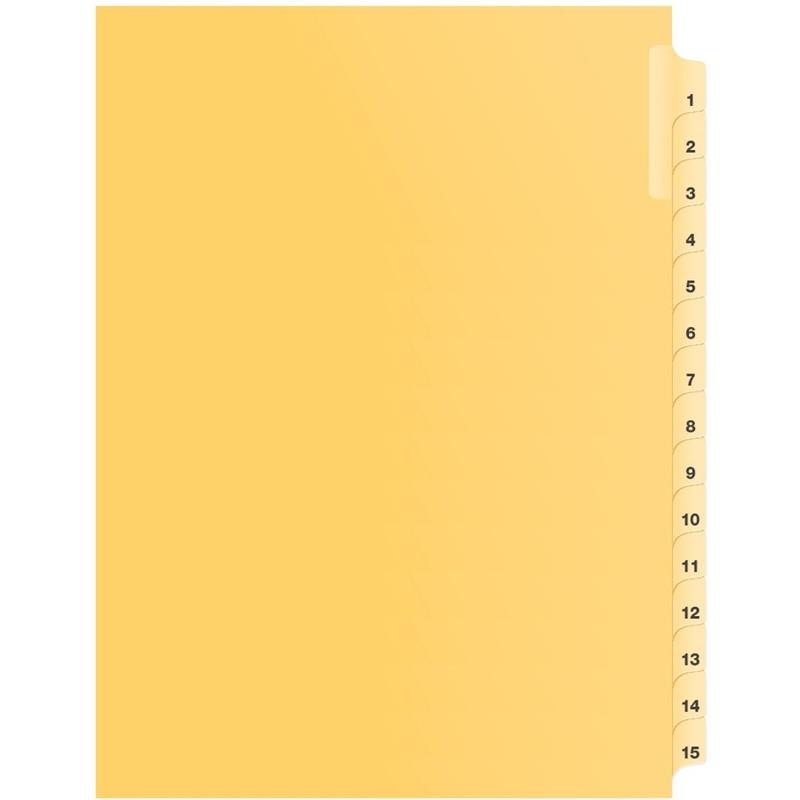 Image Litigation Index Dividers